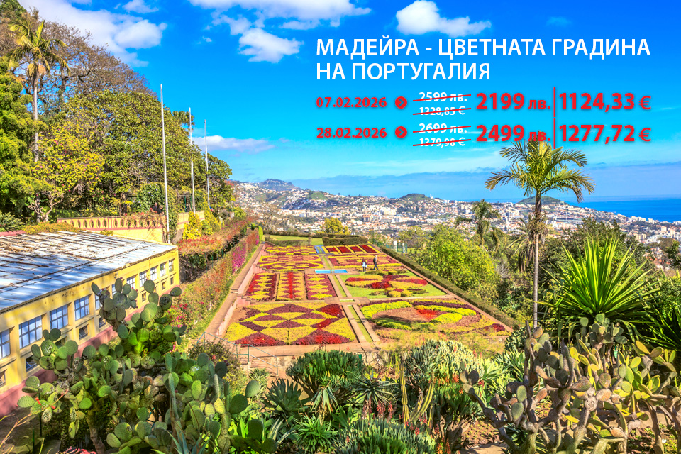 Last minute оферта за Мадейра - цветната градина на Португалия - А1 Клуб