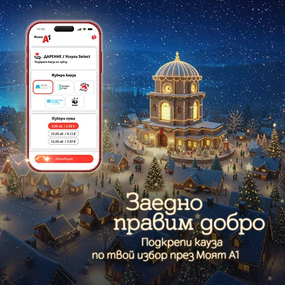 donation-winter-carrousel