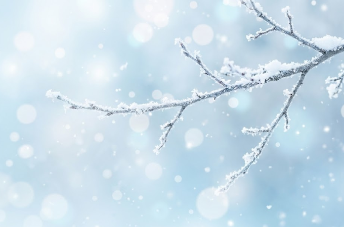 homepage-renewal-mobile-winter