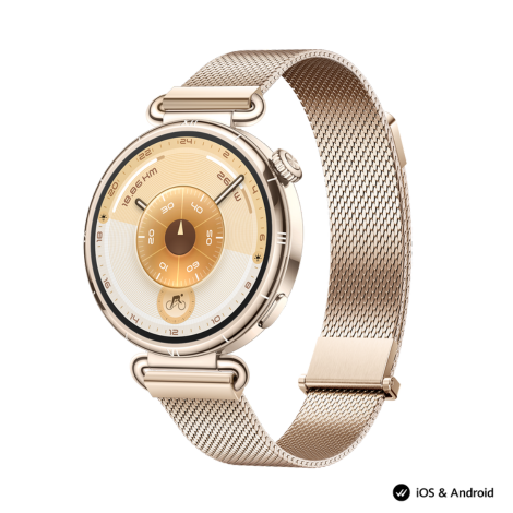 Smart Watch GT 6 41mm Millanese