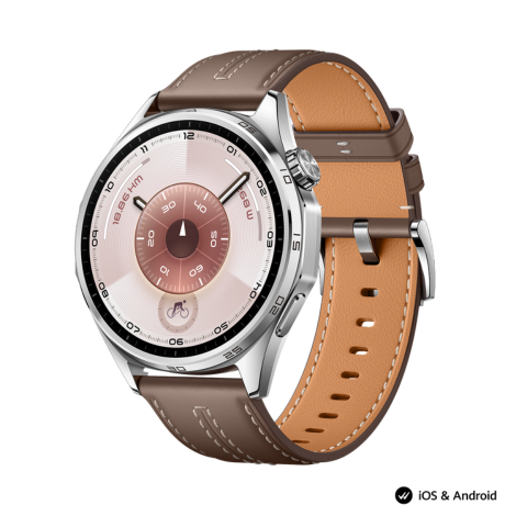 Smart Watch GT 6 46mm Grey Leather