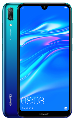 Y7 2019