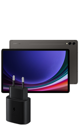 Samsung Galaxy Tab S9 5G 256 GB