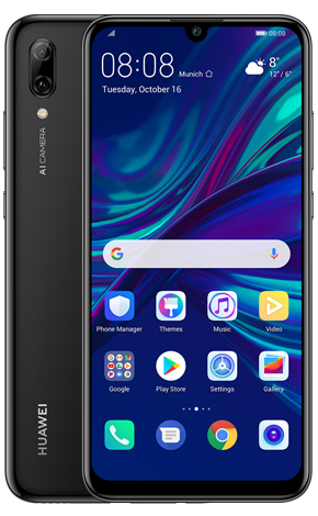 P Smart 2019