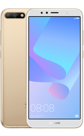 Y6 2018